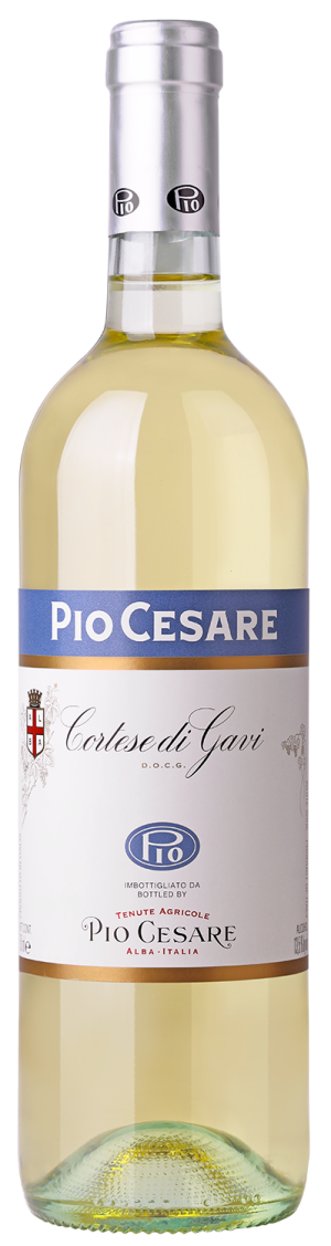 Pio Cesare Cortese di Gavi DOCG 2024