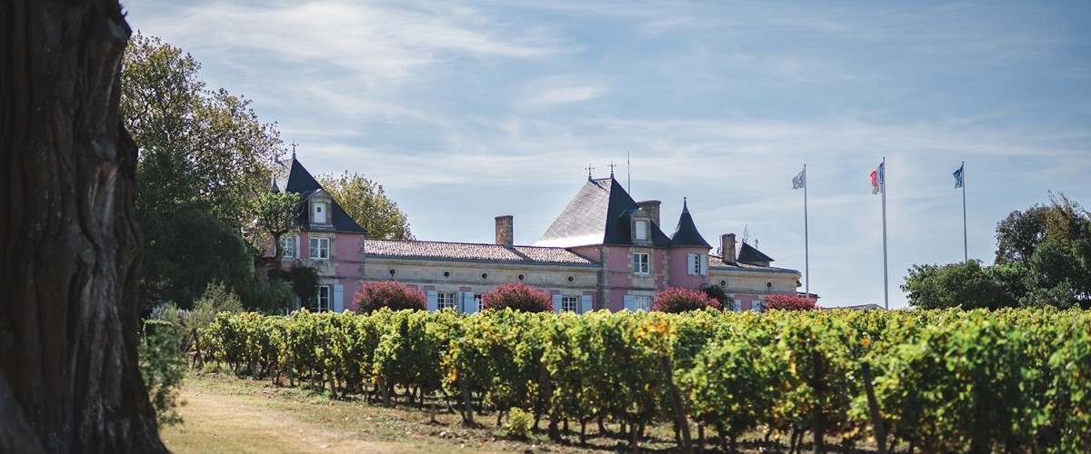 Château Loudenne estate