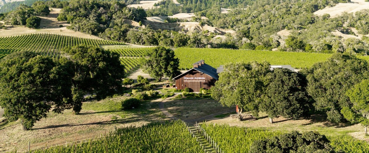 Aerial view of Domaine Anderson winery 