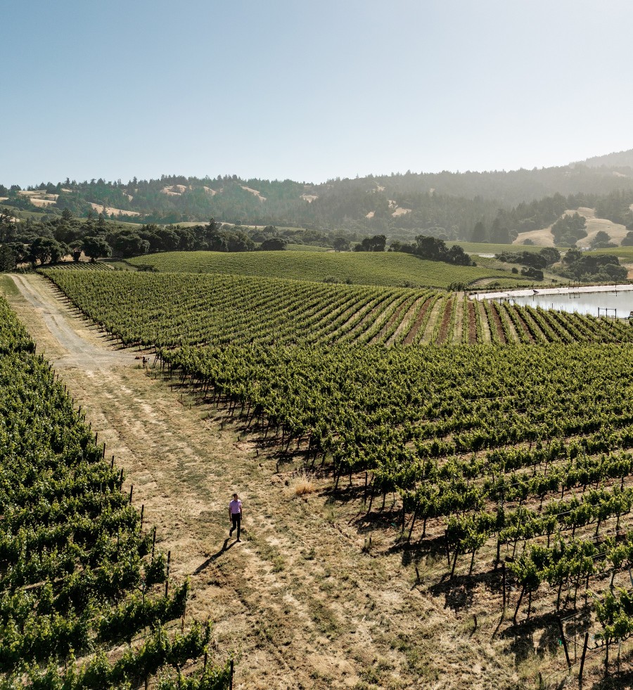 Aerial view of Roederer Estate Vineyard