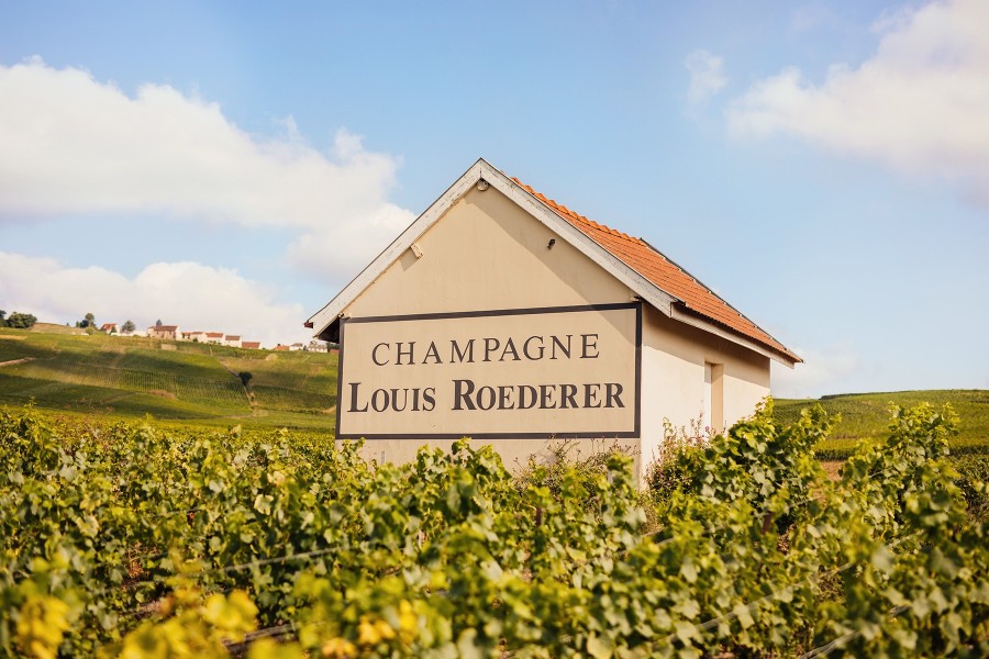 Champagne Louis Roederer vineyard