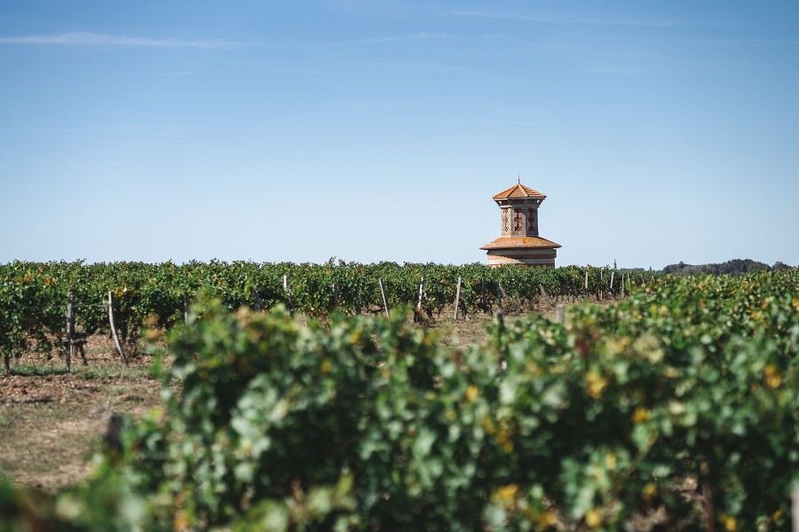 Château Loudenne vineyards