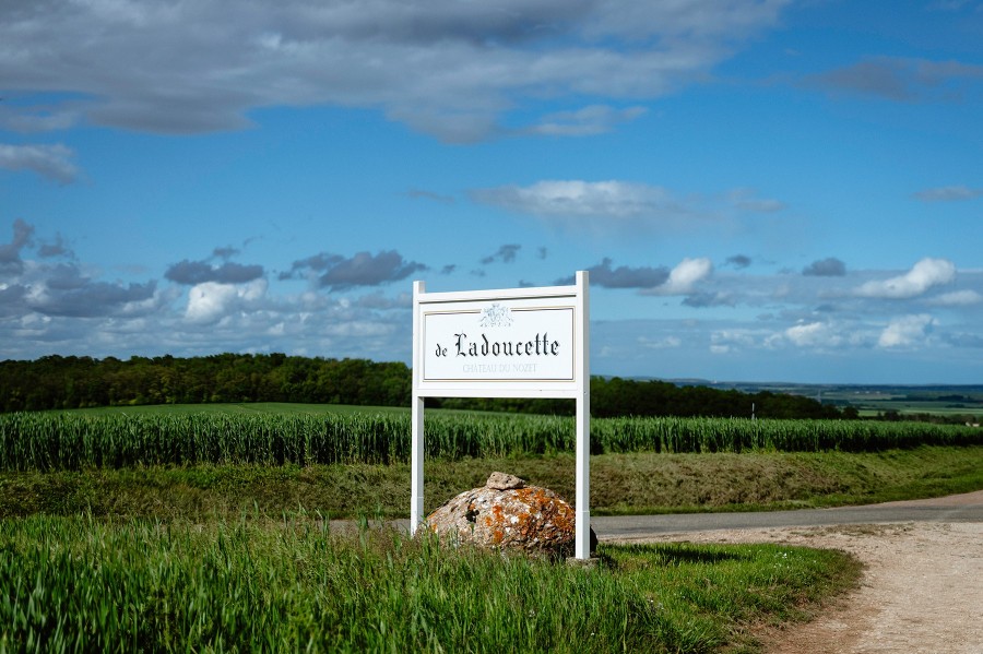 Ladoucette Vineyard and Estate