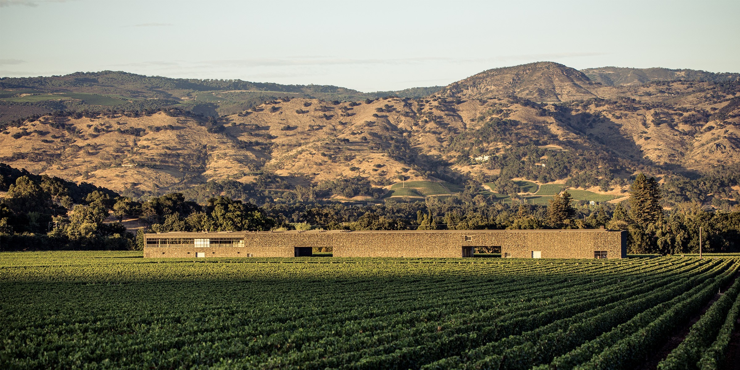 Dominus Estate