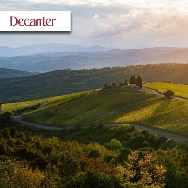 Read Castiglion del Bosco – Winemaking of Intricacy and Precision