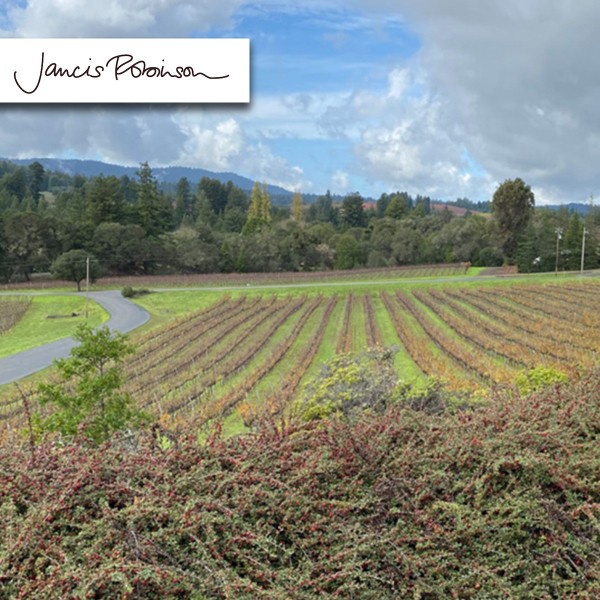 Read Wine of the Week: Roederer Estate Brut, Anderson Valley