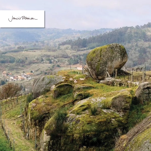 Read Galician wine in demand