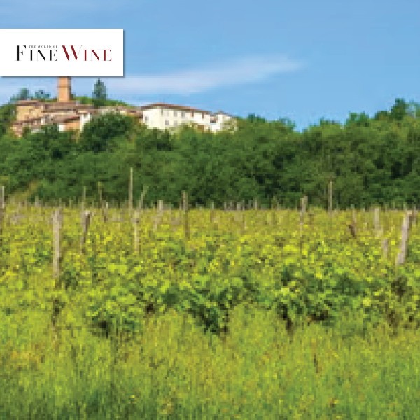 Read Timorasso time: Has Piedmont at last found a white fine-wine foil for Nebbiolo? 