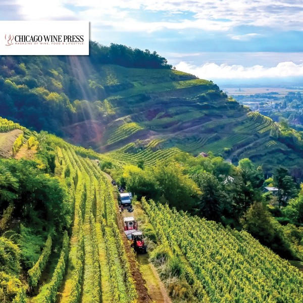 Read Thomas Schlumberger & The Timeless Journey of Domaines Schlumberger